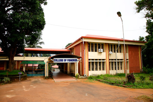 Infrastructure Image 1